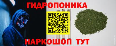 стаф Малгобек