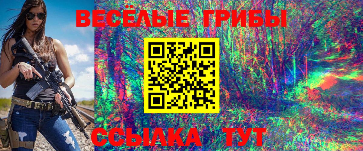 Псилоцибиновые грибы Psilocybe  дарнет шоп  Черняховск  Вход с VPN  Галлюциногенные грибы ЛСД 